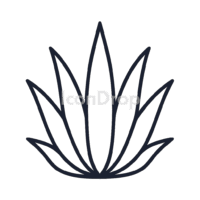 アガベのアイコン（アウトライン）