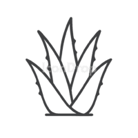 アロエベラのアイコン（アウトライン）