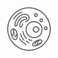 Animal Cell Icon Outline