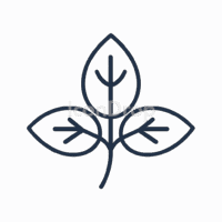 Basil Leaf Icon Outline