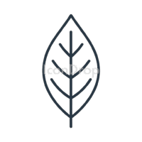 Bay Leaf Icon Outline