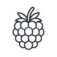 Blackberry Fruit Icon Outline
