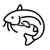 Catfish Icon Outline