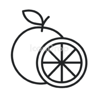 Citrus Fruits Icon Outline