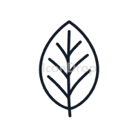 Coffee Leaf Icon Outline