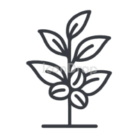 Coffee Tree Icon Outline