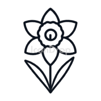 水仙(ダフォディル)のアイコン(アウトライン)