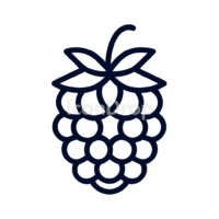 Dark Fruit Icon Outline