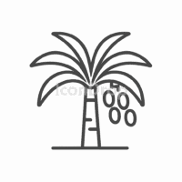 ナツメヤシ(デーツツリー)のアイコン(アウトライン)