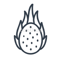 Dragon Fruit Icon Outline