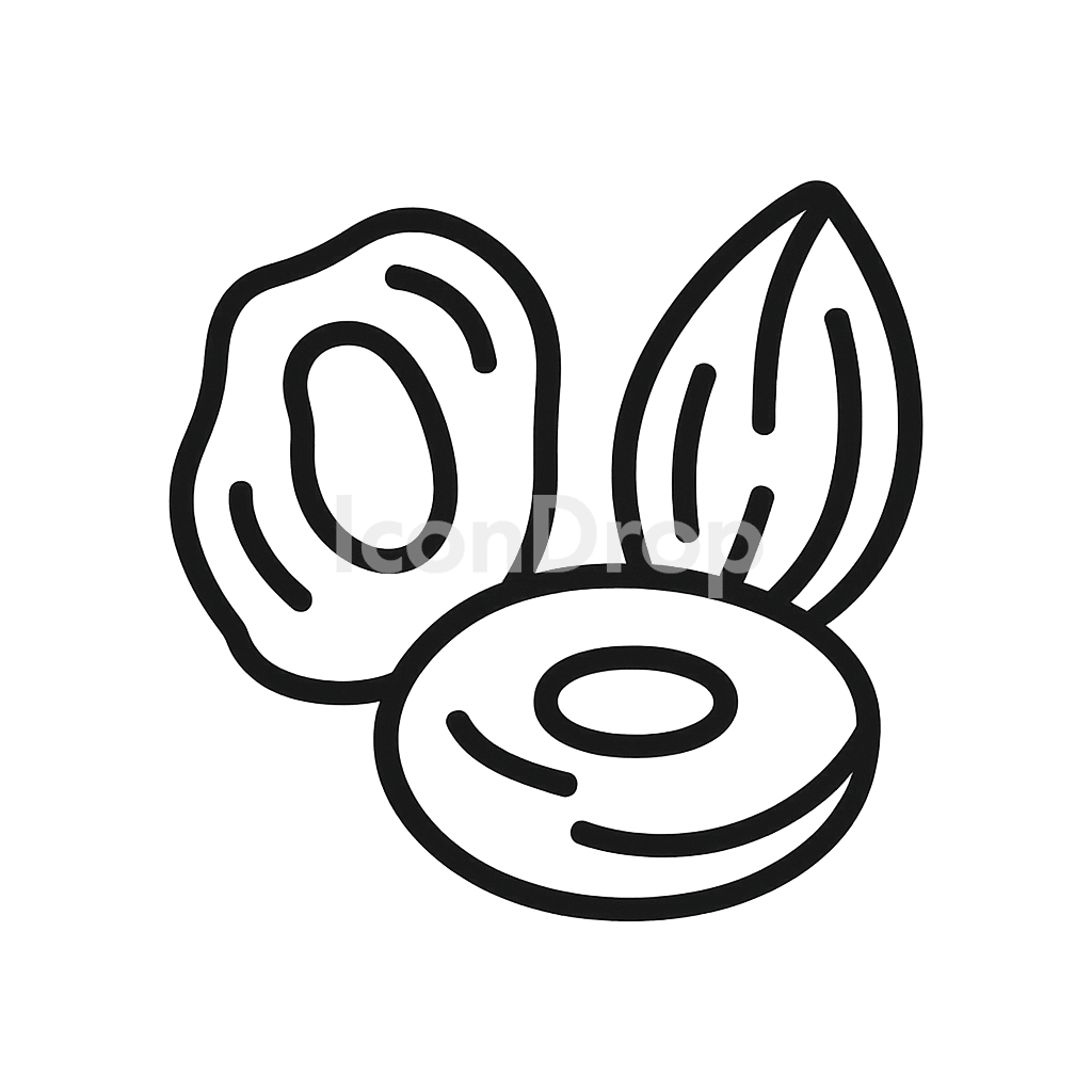 Dry Fruits Icon Outline