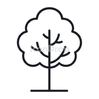 Eucalyptus Tree Icon Outline