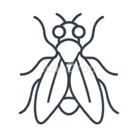Fruit Fly Icon Outline