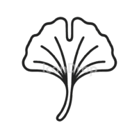 Ginkgo Leaf Icon Outline