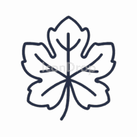 Grape Leaf Icon Outline
