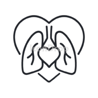 Heart And Lungs Icon Outline