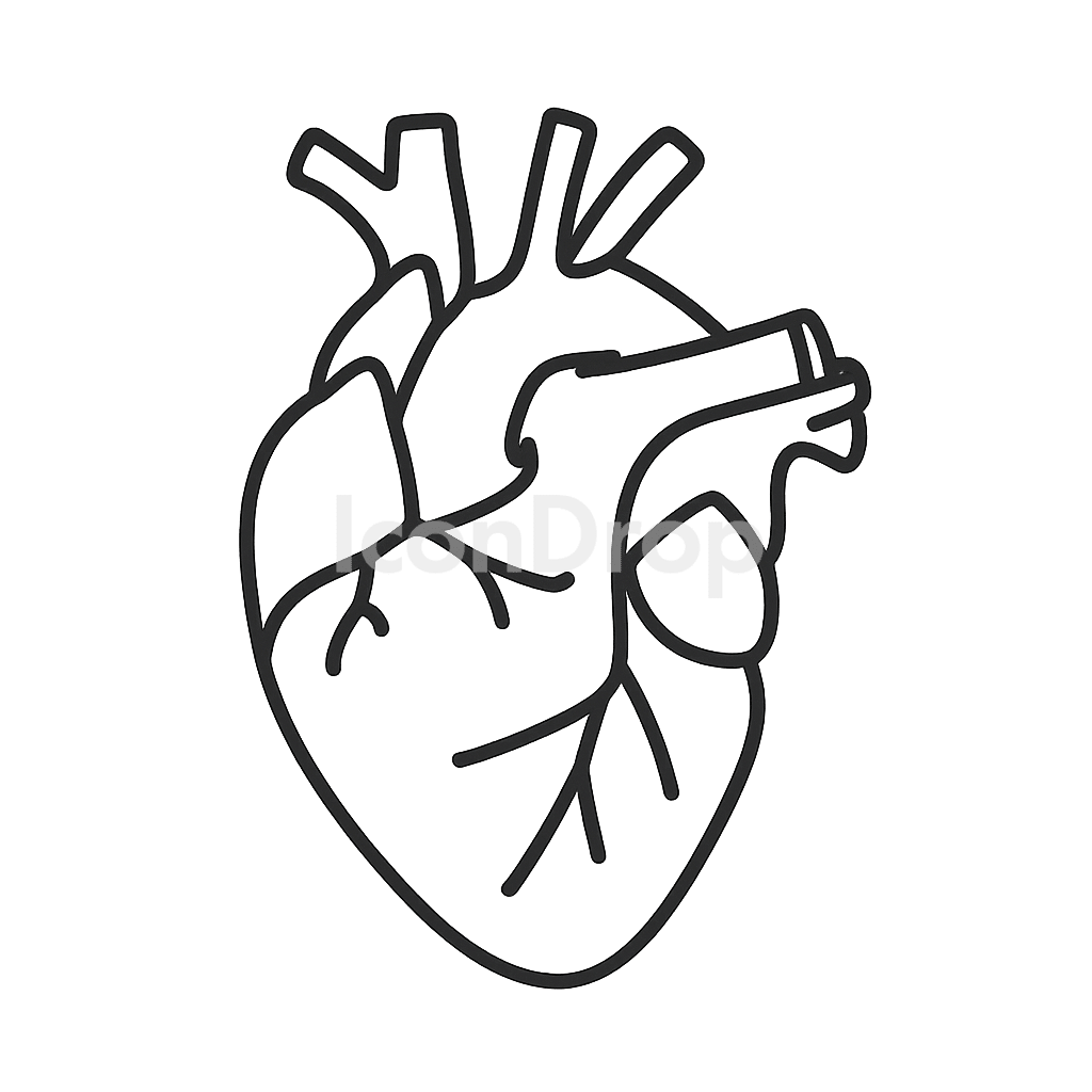 Heart Icon Anatomy Outline
