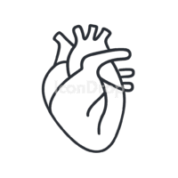 Heart Icon Organ Outline
