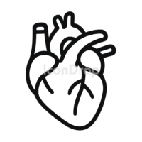 Human Heart Icon Outline