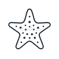 Icon Sea Star Outline