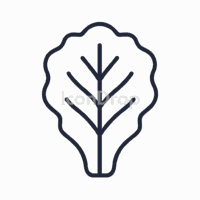 Lettuce Leaf Icon Outline
