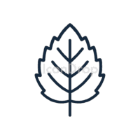 ミントの葉のアイコン（アウトライン）