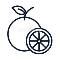 Monk Fruit Icon Outline