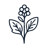 Mustard Plant Icon Outline