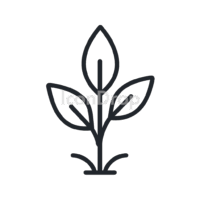 Native Plant Icon Outline