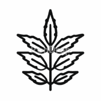 Neem Leaf Icon Outline