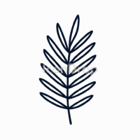 Palm Leaf Icon Outline