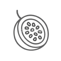 Passion Fruit Icon Outline