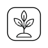 Plant Aesthetic App Icons Outline