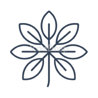 Plant Icon Top View Outline