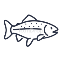 Rainbow Trout Icon Outline