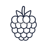 Raspberry Fruit Icon Outline