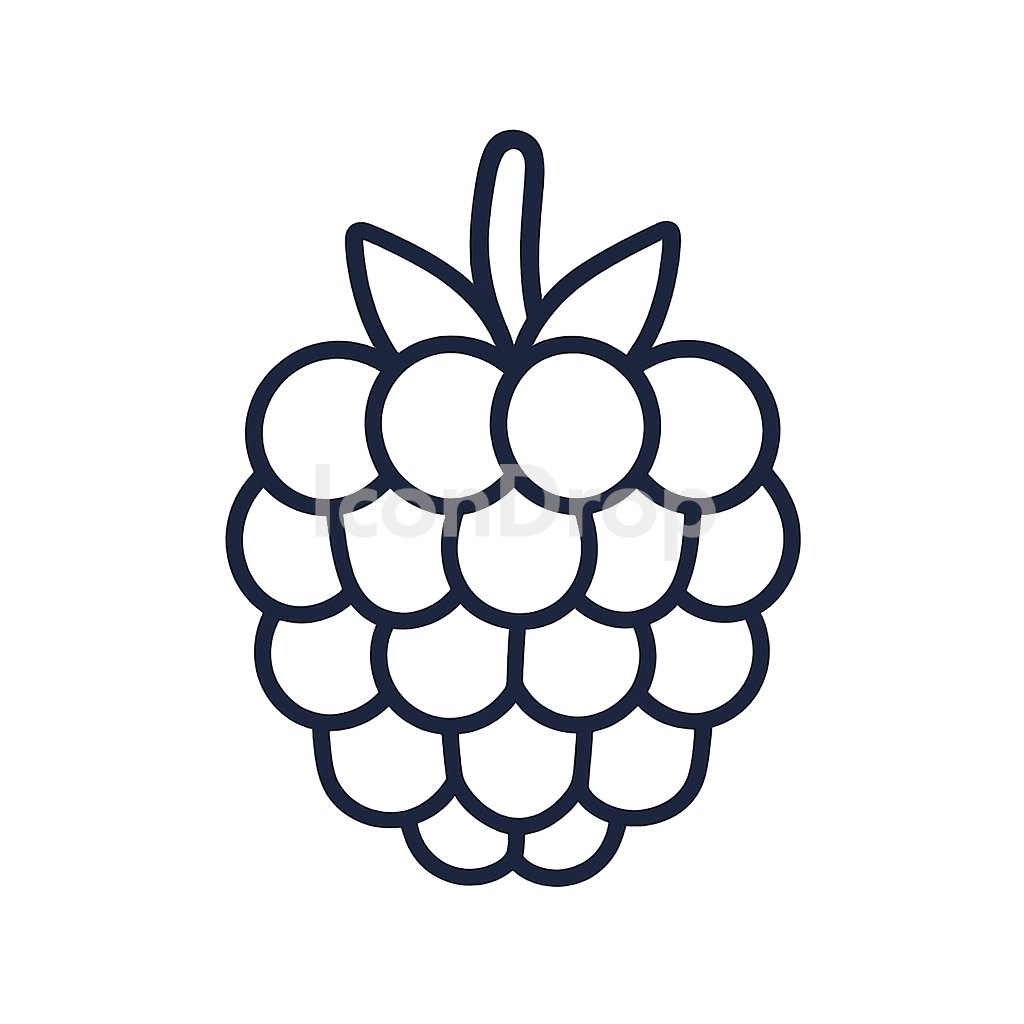 Raspberry Fruit Icon Outline