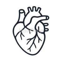 Real Heart Icon Outline
