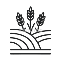 Rice Field Icon Outline
