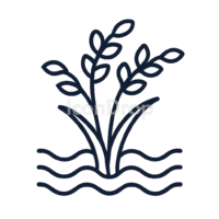 Rice Paddy Icon Outline
