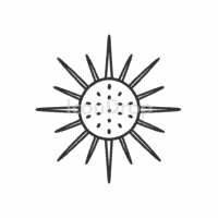 Sea Urchin Icon Outline