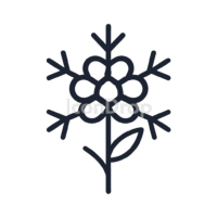 Snow Flower Icon Outline