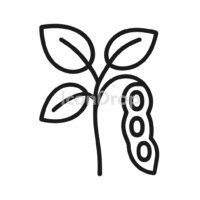 Soybean Plant Icon Outline