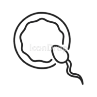 Sperm And Egg Icon Outline