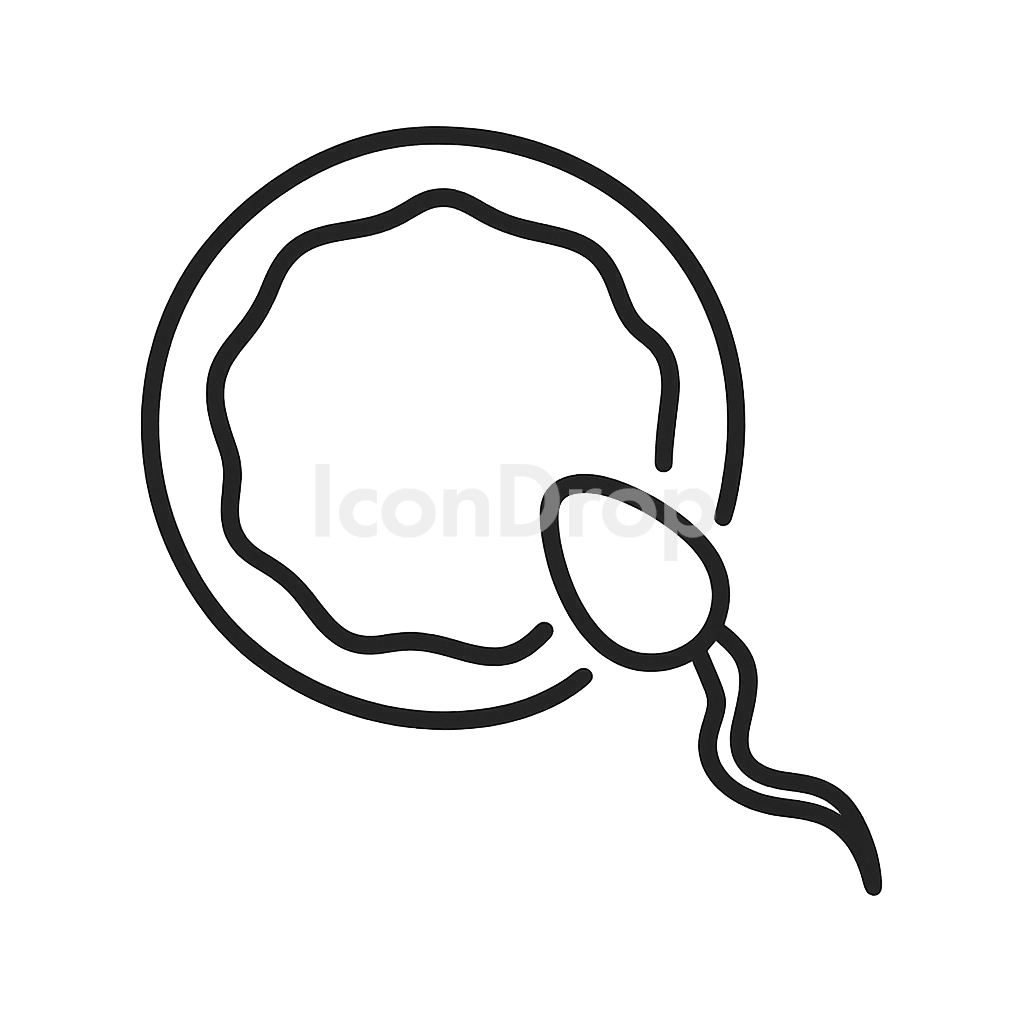 Sperm And Egg Icon Outline