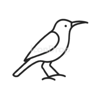 Sunbird Icon Outline