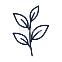 Tea Plant Icon Outline