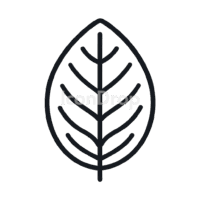 タバコの葉のアイコン（アウトライン）