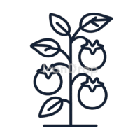 Tomato Plant Icon Outline