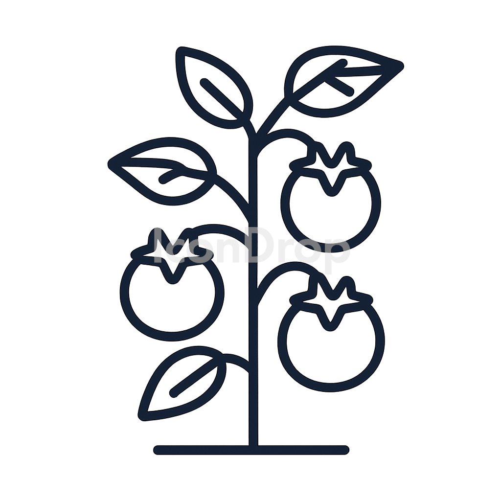 Tomato Plant Icon Outline